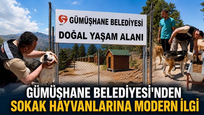 Gümüşhane Belediyesi tarafından sahipsiz sokak hayvanlarının daha sağlıklı, güvenli ve