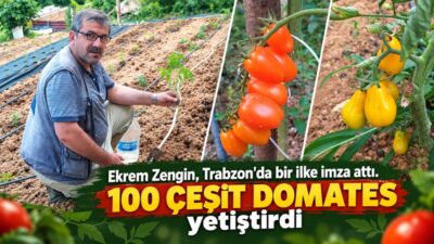 Trabzon’un Ortahisar ilçesinde yaşayan mali müşavir Ekrem Zengin, beş yıl